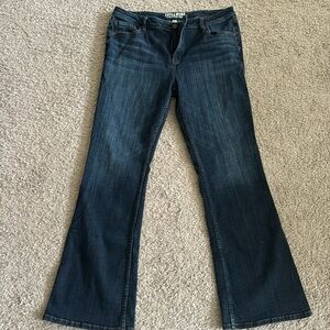 Idyllwind Women’s Bootcut Jeans